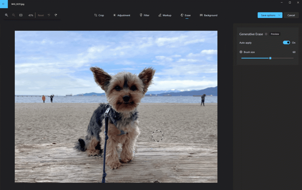 Microsoft's New Features - Generative Erase and More in Photos App