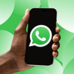 WhatsApp Guest Chat
